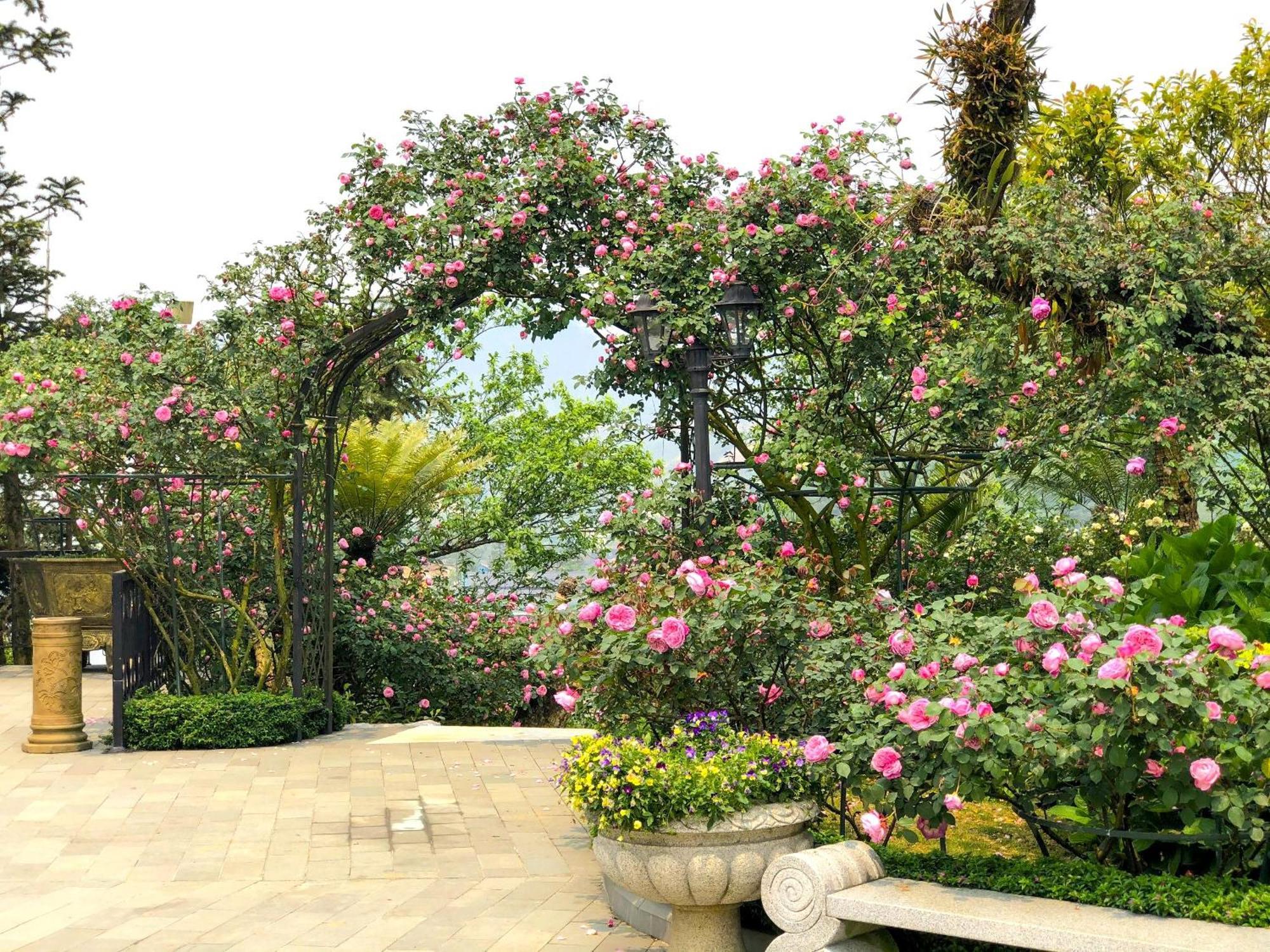 منتجع وسبا سيلك باث غراند سابا المظهر الخارجي الصورة Rose Garden